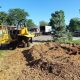 tree+health+centennial+co-316h