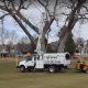 tree+health+englewood+co-1920w